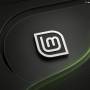 linux_mint_23.jpeg